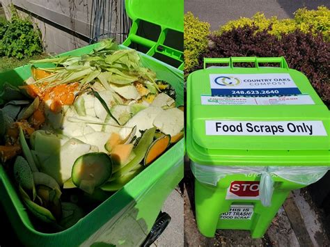 restaurant recycling sheffield|Council to trial food waste recycling collections .